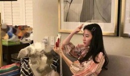 关之琳厨师爆料了吗视频,揭秘娱乐圈背后的美食秘密