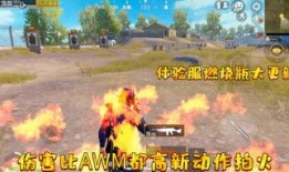 燃烧完整版在线播放观看,激情燃烧，揭秘幕后真相